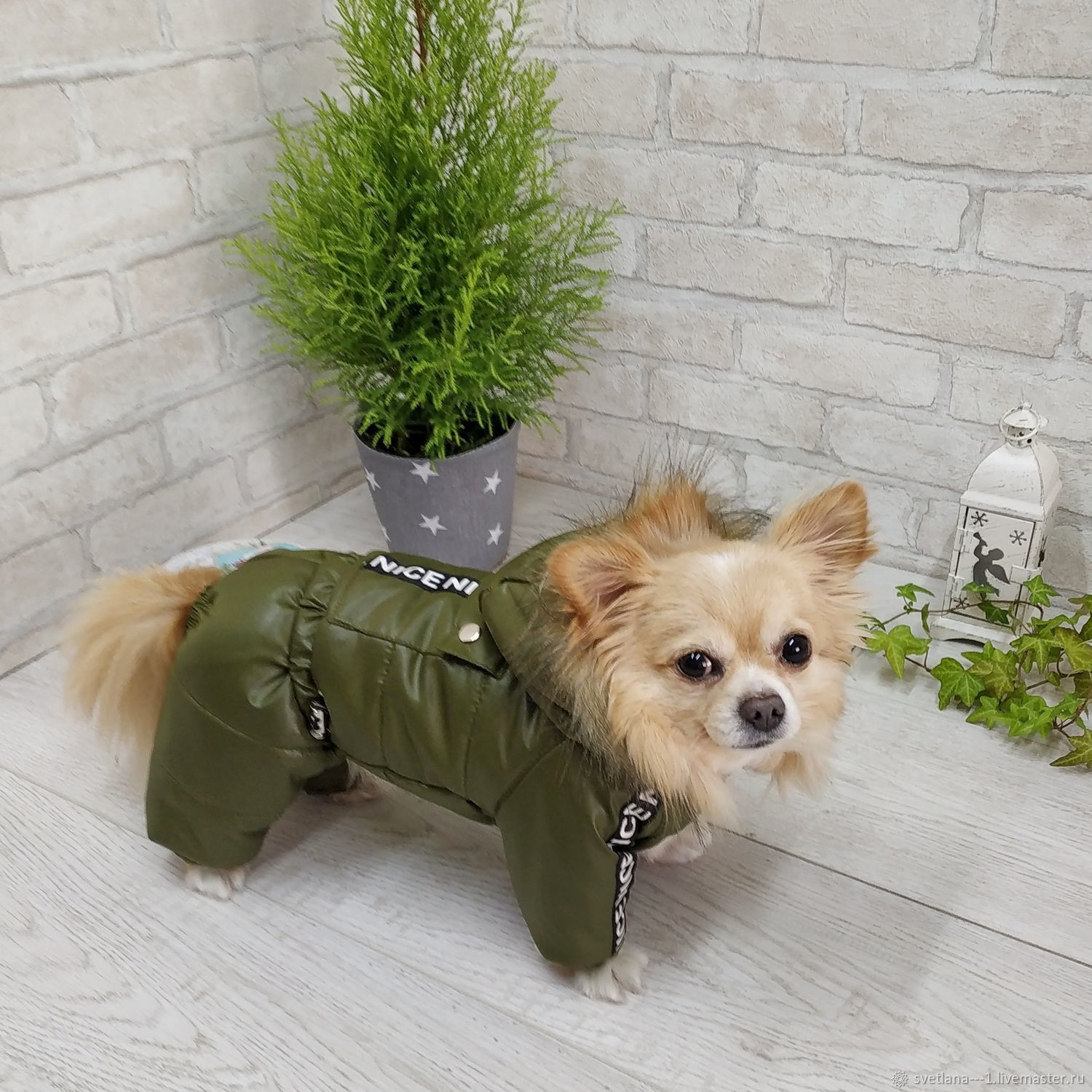 Pet Fashion FUN зимний комбинезон для собак
