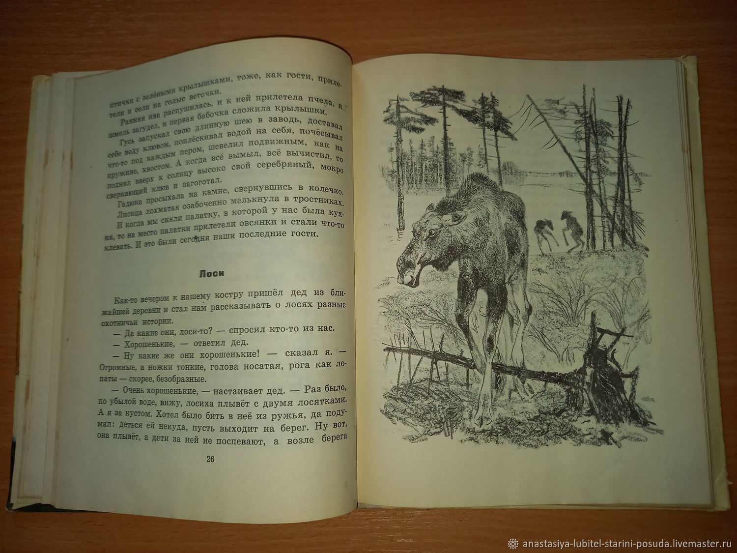 Пришвин мазай. Пришвин в краю дедушки Мазая 1973. М пришвин в краю дедушки Мазая. Пришвин в краю дедушки Мазая книга. Пришвин в краю Деда Мазая.