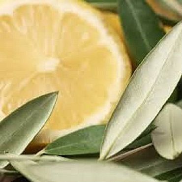 Материалы для творчества ручной работы. Ярмарка Мастеров - ручная работа Olive Leaf and Citron (Оливковый лист и цитрон) CandleScience. Handmade.