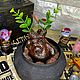 Корень Мандрагоры из мира Гарри Поттера. Игрушки. Лавка K.Potter. Интернет-магазин Ярмарка Мастеров.  Фото №2