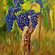 Painting landscape of a vineyard bush, Pictures, Novokuznetsk,  Фото №1