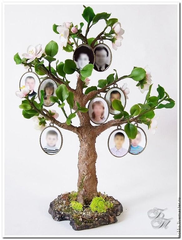 Как сделать генеалогическое дерево с семейными фотографиями