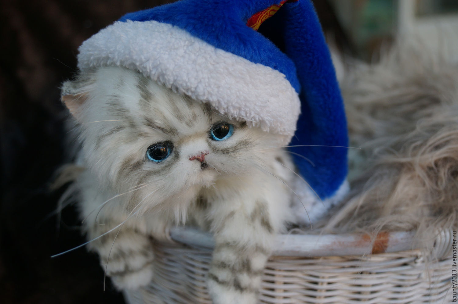 Новогодний персидский кот