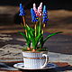 Muscari in a porcelain Cup, Composition, Rostov-on-Don,  Фото №1