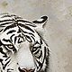 Картина маслом на холсте Тигр в траве Интерьерная живопись. Картины. Картины на стену/Искусство на холсте. Ярмарка Мастеров.  Фото №4