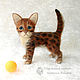 Boniface kitten, Bengal cat, cat - toy, felted out of wool. Felted Toy. Woolen Zoo. My Livemaster. Фото №5