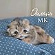 Заказать Мастер Класс Котята. Николаева Екатерина (hand-made-teddy). Ярмарка Мастеров. . Мягкие игрушки Фото №3