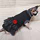 Clothes for cats dress 'Lace', Pet clothes, Biisk,  Фото №1
