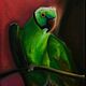 "И зелёный попугай", Картины, Санкт-Петербург,  Фото №1