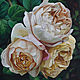 Painting 'Peony-shaped roses' oil on canvas 40h40 cm, Pictures, Moscow,  Фото №1