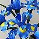 Ирисы. Букеты. Oxiflowers. Ярмарка Мастеров.  Фото №4