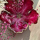 Сервировочное блюдо из эпоксидной смолы: Rose Flower. Сервизы. ProArte Gallery | Anastasia Firsova. Интернет-магазин Ярмарка Мастеров.  Фото №2