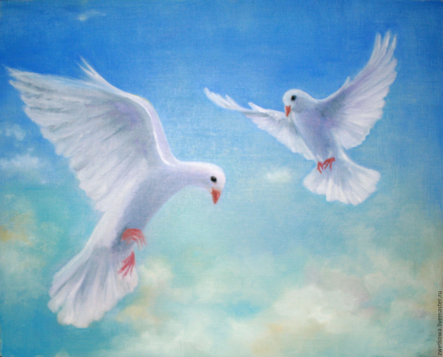 Белыми голубями летите к маме домой. Голубь картина. Голуби в живописи. Белый голубь живопись. Голубки в живописи.
