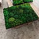 Фитопанно | Панно из мха 80*60см. Панно. Green.Box. Ярмарка Мастеров.  Фото №5