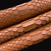 Материалы для творчества handmade. Livemaster - original item Python skin, hide, width 30-34 cm IMP2003L. Handmade.
