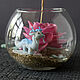  Lotus for incense, Incense, Severskaya,  Фото №1