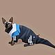Clothing for cats 'Jumpsuit with a hat - sports 2', Pet clothes, Biisk,  Фото №1