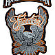 Order Baker's patch on the Eagle of Freedom jacket. shevronarmy. Livemaster. . Patches Фото №3