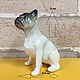 French bulldog, white and black: author's figurine, Figurines, Moscow,  Фото №1