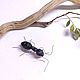 Черный муравей. Lasius Niger (фигурка). Скульптуры. Букашки. Ярмарка Мастеров.  Фото №5