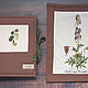 Album for herbarium Botanical chocolate (A4, 30 sheets), Photo albums, Krasnogorsk,  Фото №1