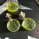 Набор серьги и кулон со скелетированными листьми, Серьги классические, Уфа,  Фото №1