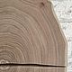 Спил дерева Спил карагача 41,5×34×5,2 см. Спилы дерева. Oxiwood. Интернет-магазин Ярмарка Мастеров.  Фото №2