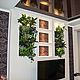 Vertical gardening with live plants, Design, Belgorod,  Фото №1