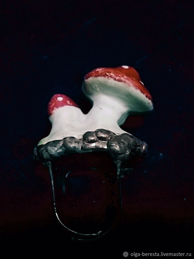 Иван дурак в сказке сивка бурка. Виктор васнецов сивка-бурка 1926. В какой сказке встречается. Чтение сказки «сивка-бурка». Перстень конь мухоморы из какой сказки.