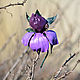 Order Iris purple flower leather brooch large. flowersstyle (flowersstyle). Livemaster. . Brooches Фото №3