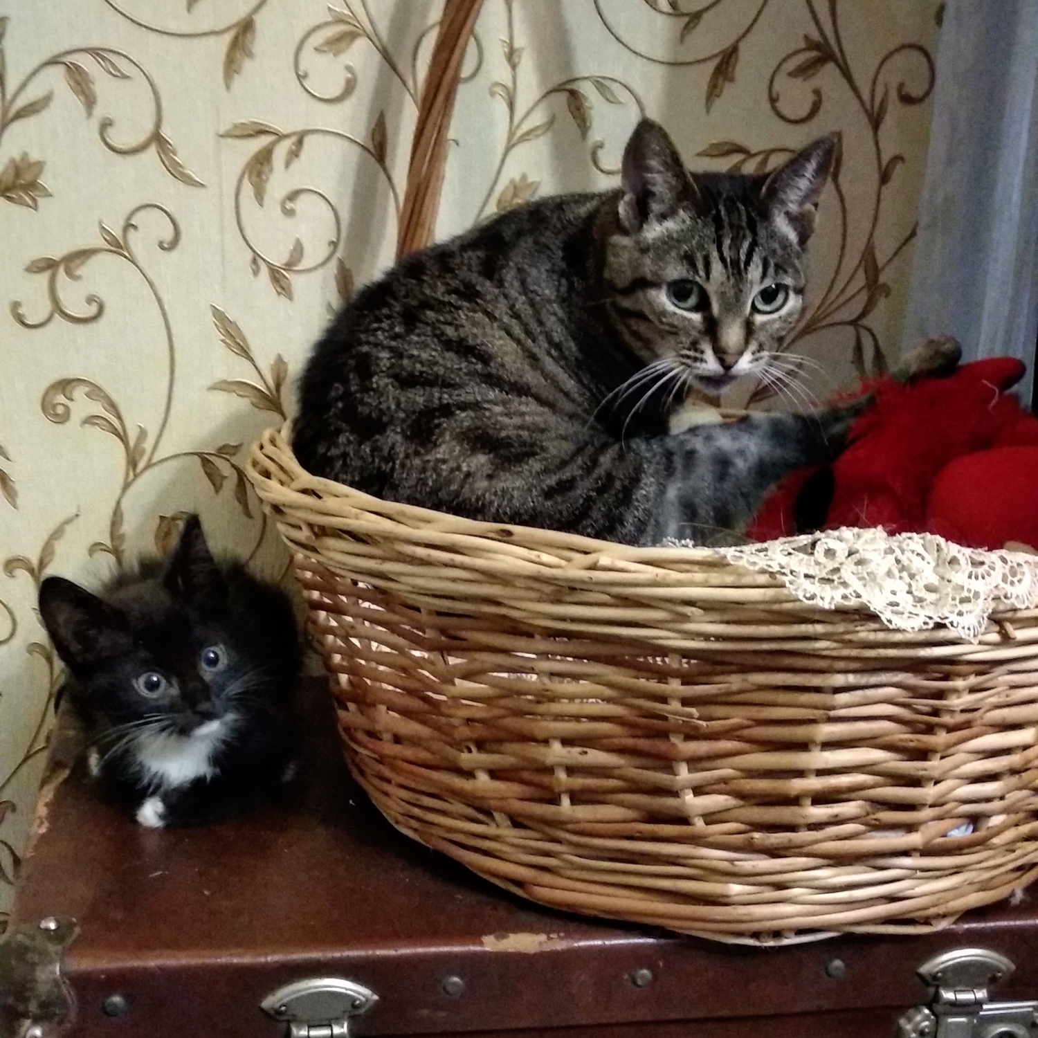 Мой профиль