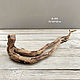 Дрифтвуд driftwood коряжки 2 шт. Природные материалы. driftwoodhunter. Интернет-магазин Ярмарка Мастеров.  Фото №2