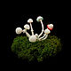 Decorative mushrooms glowing in the dark. Miniature plants and flowers. asbaik (asbaik). My Livemaster. Фото №4
