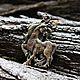 Амулет Единорог кулон с единорогом подвеска единорог. Оберег. NIKISTORE - bronze (nikistore-art). Ярмарка Мастеров.  Фото №4