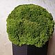 Order Ball of stabilized moss. Антонина Литовкина - Озеленение (Планета Флористики). Livemaster. . Topiary Фото №3