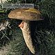 Заказать Подберёзовик, ёлочная игрушка из ваты. Игрушки чудесные (Людмила). Ярмарка Мастеров. . Елочные игрушки Фото №3