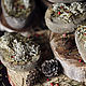 Сказочный лес. Мыло. Alexandra Natural Experiments. Ярмарка Мастеров.  Фото №4