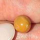 Природный редкий дикий жемчуг Мело(Melo), 3,83ct. Минералы. Astro.gems. Интернет-магазин Ярмарка Мастеров.  Фото №2