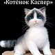 МК моих игрушек (енот, кошка, собака, фенек, хомяк, зайка, пингвин).). Схемы для вязания. Сперанская Юлия. Интернет-магазин Ярмарка Мастеров.  Фото №2