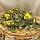 Collection of herbs Metabolism. Grass. altayatravy (altayatravy). Online shopping on My Livemaster.  Фото №2