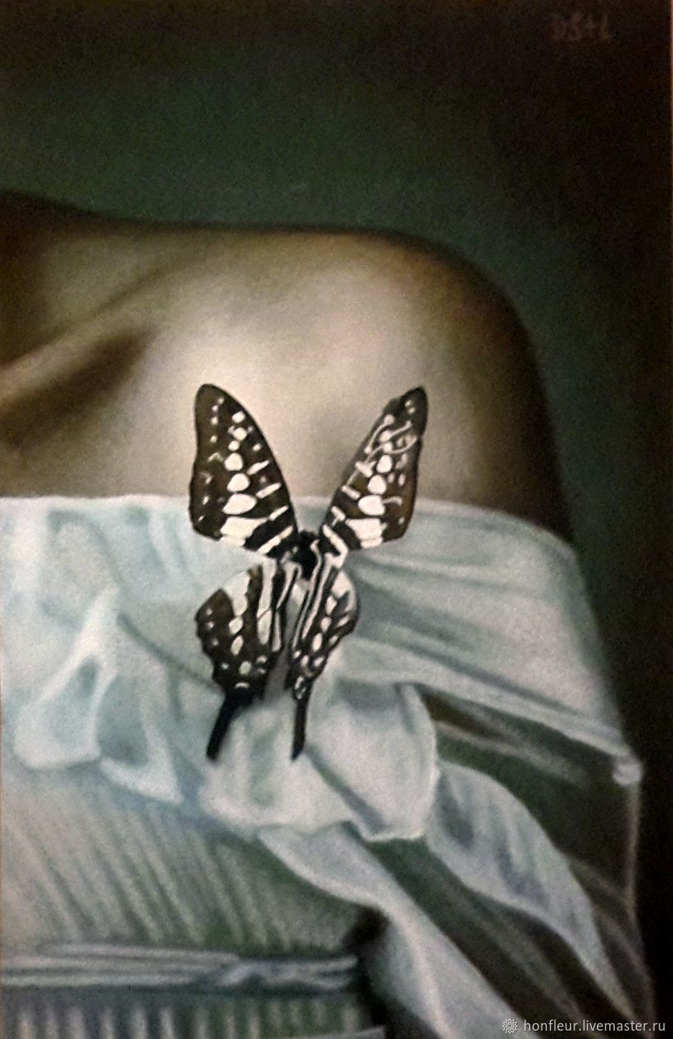 А мы ее бабочкой. А мы ее бабочкой. Бабочка сидит на руке. Бабочка на снегу. Бабочка со сложенными крыльями.