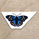 Hot decal for enamel painting (enamel) and porcelain BUTTERFLY JUNONIA. Blanks for jewelry. Russian Enamels. Online shopping on My Livemaster.  Фото №2
