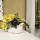 Orchid Cymbidium in a vase Shell, Composition, Moscow,  Фото №1