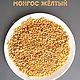 Морские ракушки Монгос желтый, Ракушки, Анапа,  Фото №1