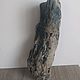 Заказать Коряга дрифтвуд driftwood. Юлия Driftwood и Stones. Ярмарка Мастеров. . Природные материалы Фото №3