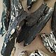 Заказать Набор "чернышей" дрифтвуд #1. Юлия Driftwood и Stones. Ярмарка Мастеров. . Природные материалы Фото №3