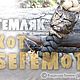 Темляк "Кот Бегемот", Подарки для охотников и рыболовов, Сургут,  Фото №1