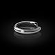 Моносерьга мужская Кольцо. Серьги-кольца. Aventure.Jewelry. Интернет-магазин Ярмарка Мастеров.  Фото №2