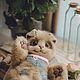 Заказать Котенок Сёмушка тедди. Ольга Веселова «Mi-Mi Toys». Ярмарка Мастеров. . Мишки Тедди Фото №3