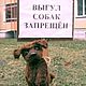 Дворовый Пёс, Мягкие игрушки, Железногорск,  Фото №1